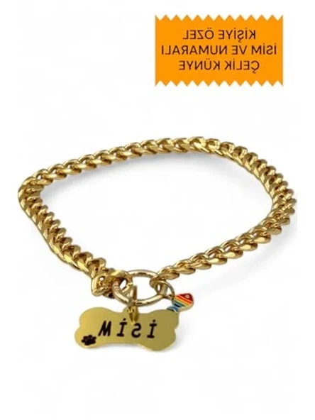 caramelos İsimli Köpek Tasması- Köpek Zincir - Paslanmaz Çelik Köpek Kolyesi - Köpek Kolye - Orta ve Büyük Irk SOFT GOLD-M ürün görseli 1