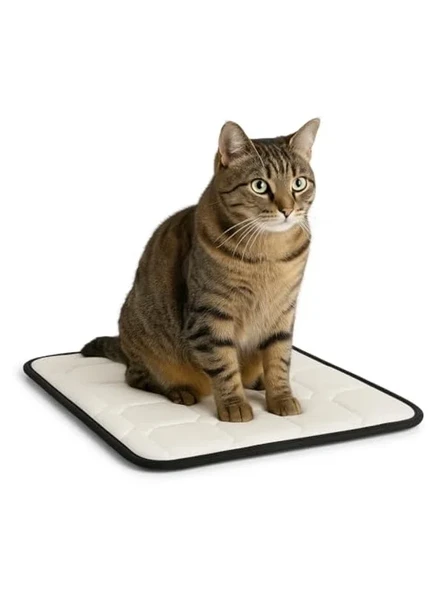 Ortopedik Kedi Yatağı 80x45 cm Yıkanabilir ve Destekleyici ürün görseli 1