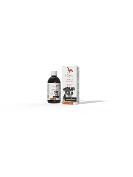 100 ml B Vitamini Plus-B Liquid, Deri ve Tüy Sağlığı İçin ürün görseli 1