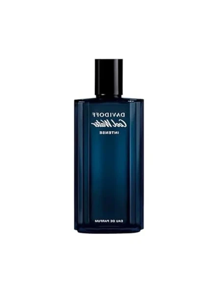 125 ml Intense EDP Erkek Parfüm – Derin ve Etkileyici Koku Deneyimi ürün görseli 1