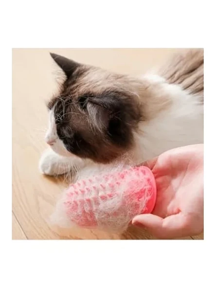 Kedi ve Köpek İçin Köşe Kaşıyıcı ve Tüy Temizleme Aparatı ürün görseli 1