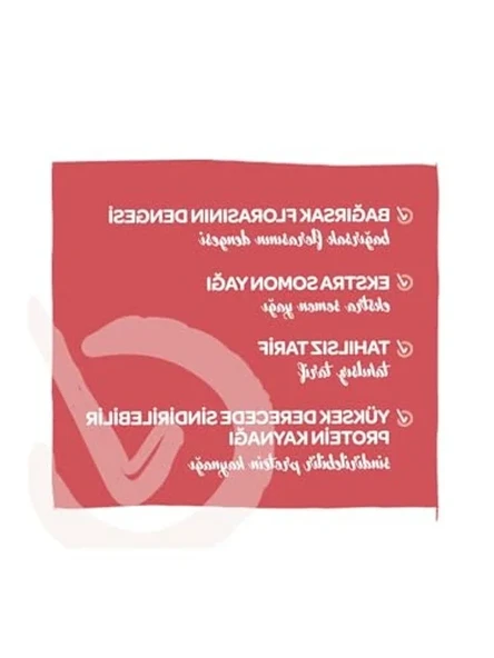 3'lü Karbon Filtre, Yüksek Performans - Resim 3