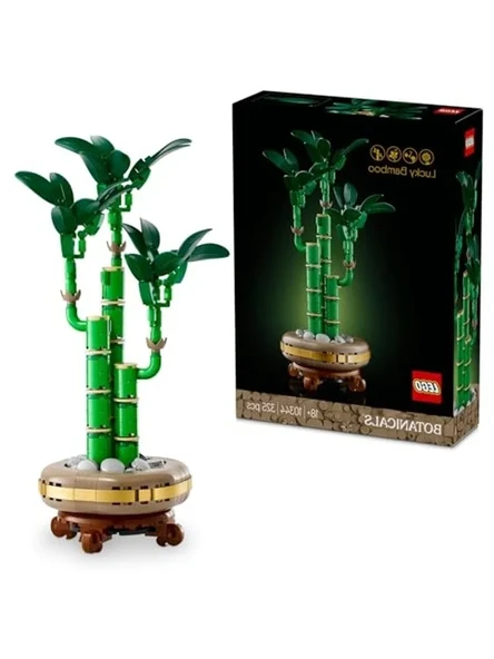 Bambu Sapları ve Ahşap Saksı İçeren Dekoratif Bitki Seti, Yetişkinler için ürün görseli 1