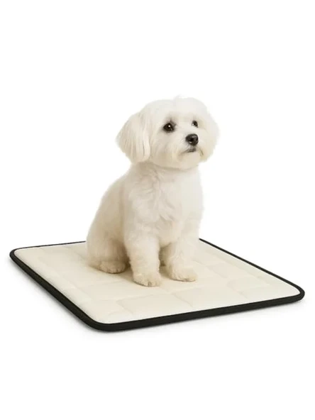 80x45 cm Ortopedik Küçük Köpek Yatağı, Yıkanabilir, Destekleyici Sünger ürün görseli 1