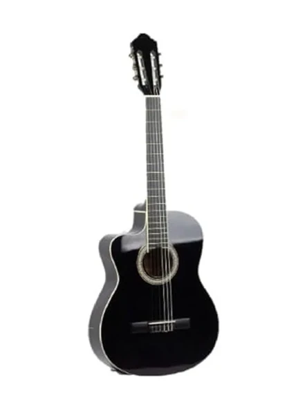 Tam Boy Klasik Gitar Kılıfı, Pena Hediyeli, Koruyucu ve Pratik ürün görseli 1