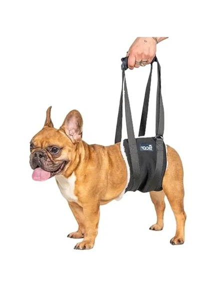 Sling Taşıma Aparatı, Felçli ve Yaşlı Köpekler için Yürüyüş Desteği ürün görseli 1