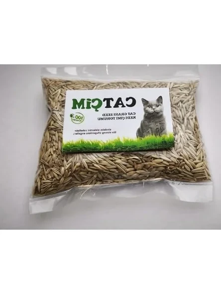 1000 gram %100 Doğal Kedi Çimi Tohumu, Arpa ve Buğday Karışımı ürün görseli 1