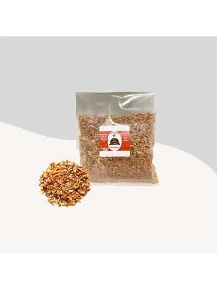 20 Gr Kurutulmuş Gammarus Karides ile Akvaryum Besini ürün görseli 1