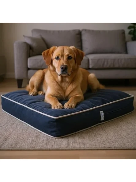 Lüks Dayanıklı Şönil Kumaş Visco Dolgulu Çift Taraflı Ve Fermuarlı Yıkanabilir Köpek Yatağı(Fşönilmavi) (Medium) ürün görseli 1