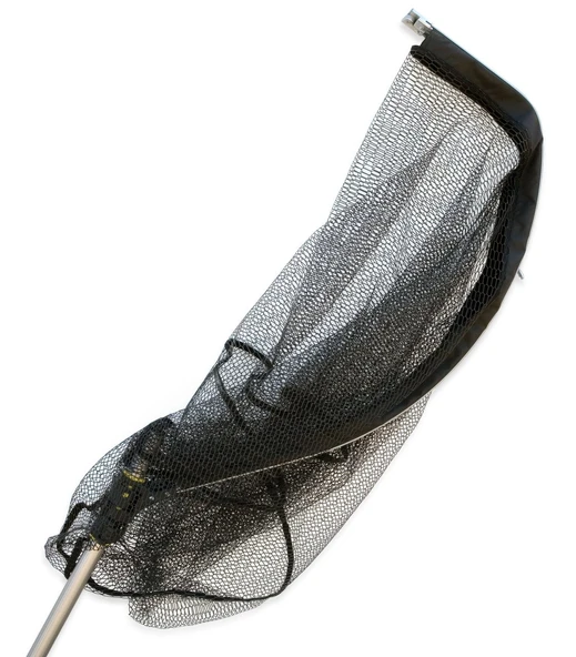 Lineaeffe Guadino Monster - Resim 2