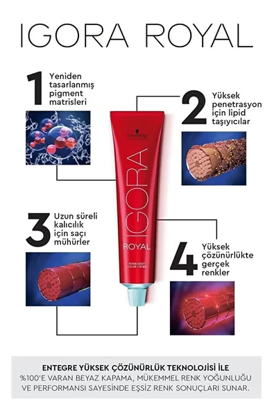 Igora Royal 8-77 Açık Kumral Yoğun Bakır Saç Boyası 60ml ürün görseli 1