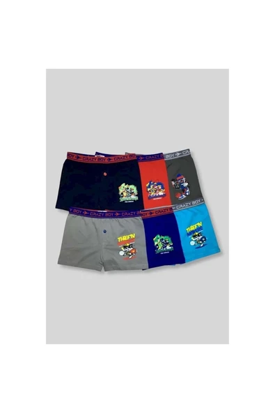 Erkek Çocuk Likralı Baskılı Boxer 6`lı ürün görseli 1