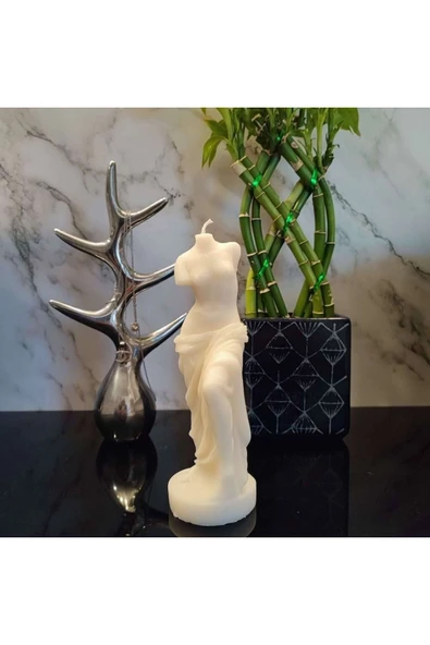 HogART Design Venüs silikon Kalıbı ürün görseli 1