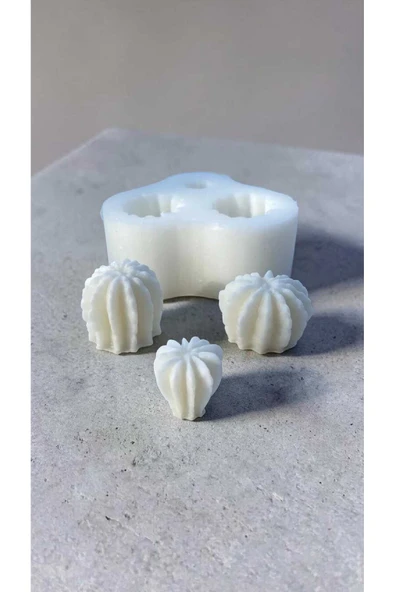 HogART Design Mini 3 ' lü Sukulent Mum Sabun & Kokuılutaş Silikon Kalıp ürün görseli 1