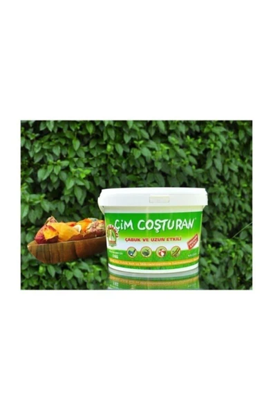 ÇİÇEK COŞTURAN Coşturan - Granül Çim Gübresi - 2kg ürün görseli 1