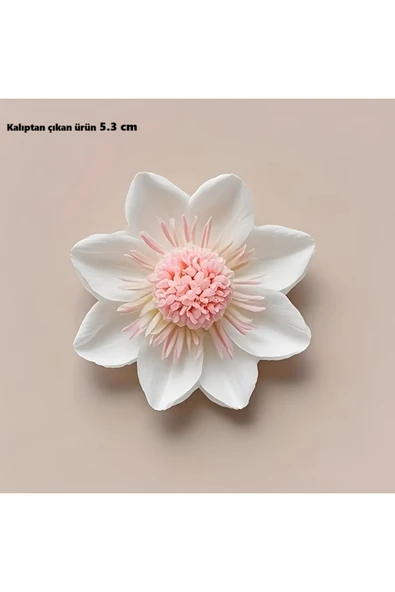 HogART Design Yeni Papatya Silikon Mum Sabun & Kokulutaş Silikon Kalıp ürün görseli 1