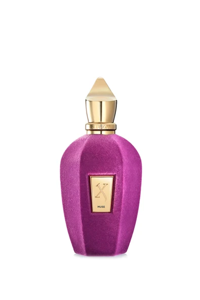MUSE MUSE XerjoffMuse EDP 100ml Unisex Parfüm ürün görseli 1
