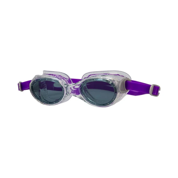 Speedo Futura Classic Af Purple/Smoke Sp810899B581 ürün görseli 1