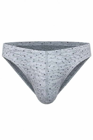 Erkek Yıldız Desenli Gri Pamuklu Klasik Slip Külot ürün görseli 1