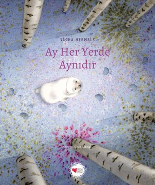 Ay Her Yerde Aynıdır ürün görseli 1
