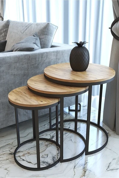 CAPRİDOS MOBİLYA Ecol Zigon Sehpa - Antik Çam - Resim 3
