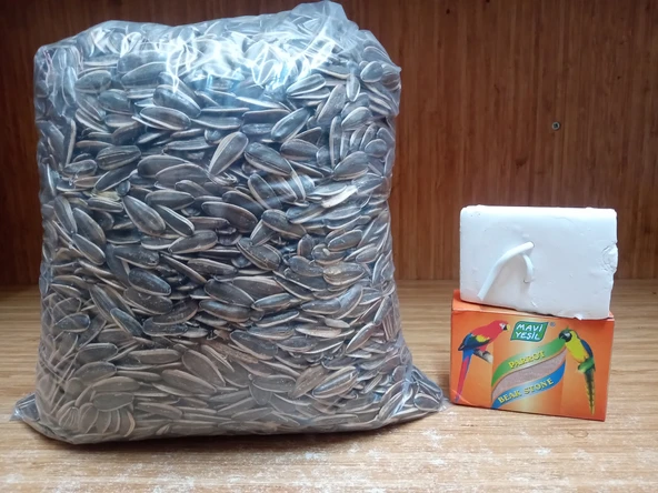 PAPAĞAN TUZSUZ BÜYÜK ÇİZGİLİ ÇEKİRDEK 1 KG+1 ADET MAVİ YEŞİL BERRA PAPAĞAN GAGA TAŞI ürün görseli 1