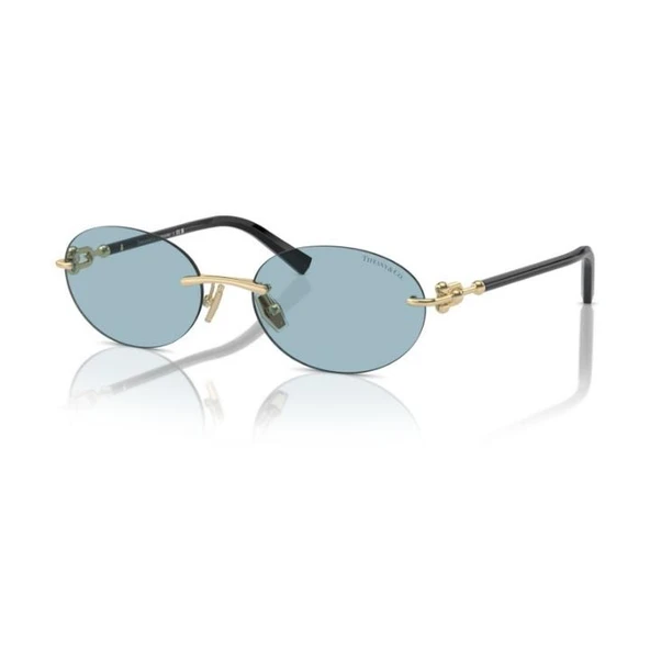 Tiffany & Co. 0TF3104D 60218056 Unisex Güneş Gözlüğü ürün görseli 1