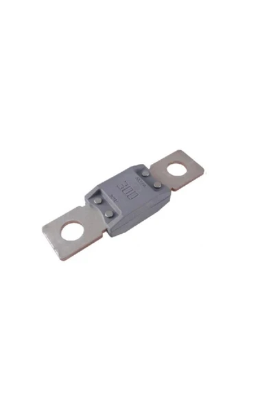 MEGAVAL SİGORTA 300 A (69*19 MM) - MTA 0601300 ürün görseli 1