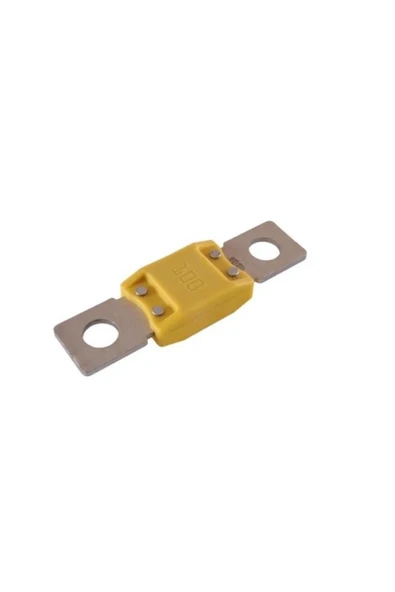 MEGAVAL SİGORTA SARI 100 A (19*69 MM) - MTA 0601100 ürün görseli 1