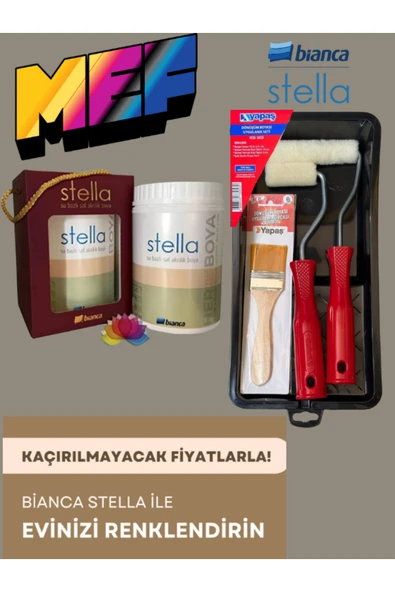 Bianca STELLA YENİ NESİL DÖNÜŞÜM BOHYASI + YAPAŞ DÖNÜŞÜM BOYA UYGULAMA SETİ Mint Yeşili ürün görseli 1