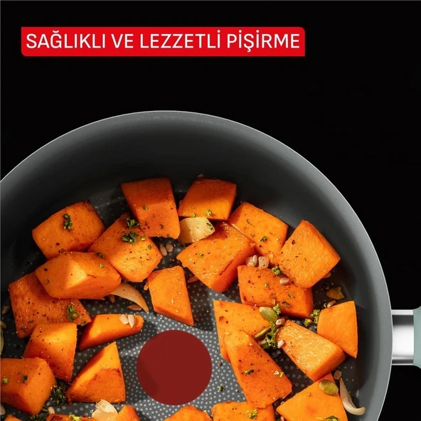 Tefal 2100143071 Halo Okaliptus Derin Tencere 24 Cm + Kapak ürün görseli 1