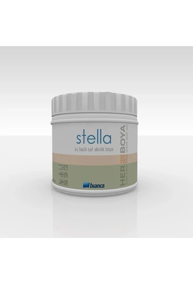 Bianca Stella Boya 500 Ml Paris Grisi ürün görseli 1