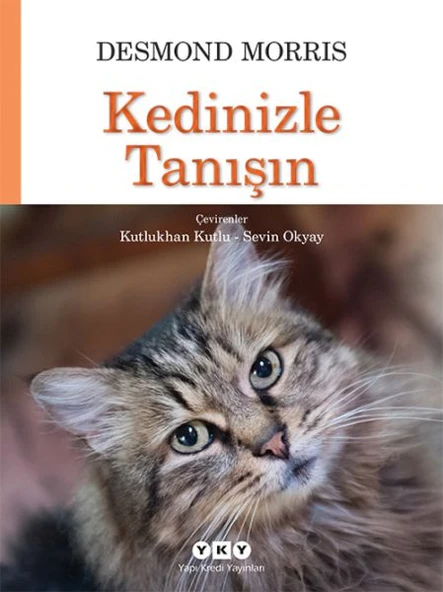 Kedinizle Tanışın ürün görseli 1