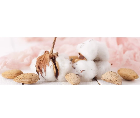 Lux Göğüs Pedi 20 Li x 4 Paket - Resim 3