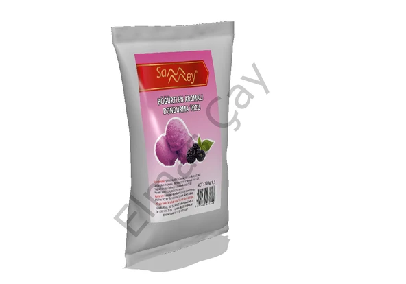 Elmas Sammey Böğürtlen Aromalı Dondurma Tozu 300 Gr. ürün görseli 1