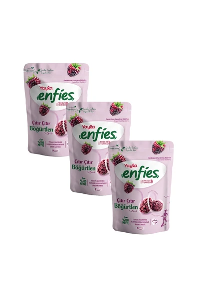 Yayla Enfies Freeze Dried Böğürtlen 15 g x3 ürün görseli 1