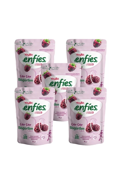 Yayla Enfies Freeze Dried Böğürtlen 15 g x 5 Adet ürün görseli 1