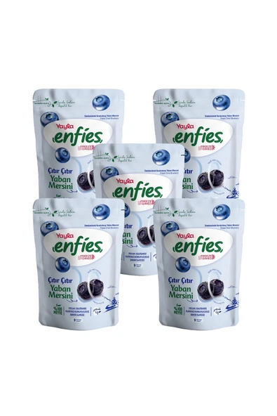 Yayla Enfies Freeze Dried Yaban Mersini 15 g x 5 Adet ürün görseli 1