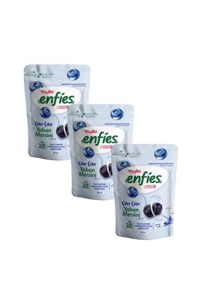 Yayla Enfies Freeze Dried Yaban Mersini 15 g x 3 Adet ürün görseli 1