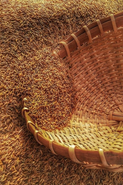 Granül Üre Gübresi %46 A- 1 Kg - Resim 5