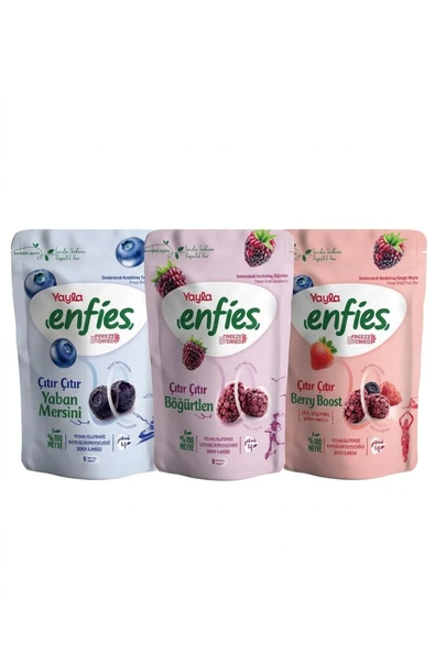 Yayla Enfies Freeze Dried Çıtır Meyve Paketi - 100% Doğal Katkısız Vegan Atıştırmalık Seti ürün görseli 1