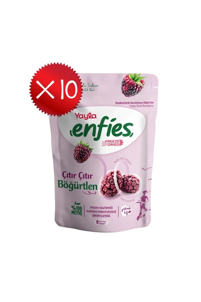 Yayla Enfies Freeze Dried Böğürtlen 15 g x 10 Adet ürün görseli 1