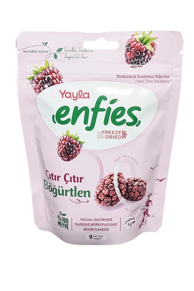 YAYLA ENFİES KURUTULMUŞ BÖĞÜRTLEN 15 GR ürün görseli 1