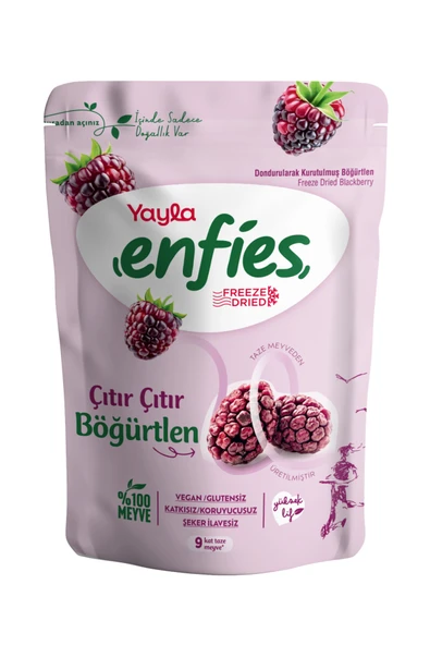 Yayla Enfies Freeze Dried Dondurularak Kurutulmuş Çıtır Meyve-Böğürtlen 15 Gr ürün görseli 1