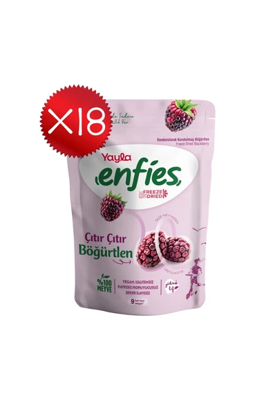 Yayla Enfies Freeze Dried Böğürtlen 15 g x 18 Adet ürün görseli 1