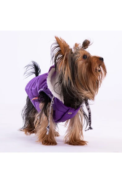 Pawstar Kedi ve KÜÇÜK Köpek Purple Railway Vest M Sırt28cm Göğüs41cm Boyun26cm ürün görseli 1