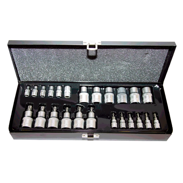 25Prç. 1/4inçve1/2inçCR-V Torx ve E Tipi Torx Lokma Seti ürün görseli 1