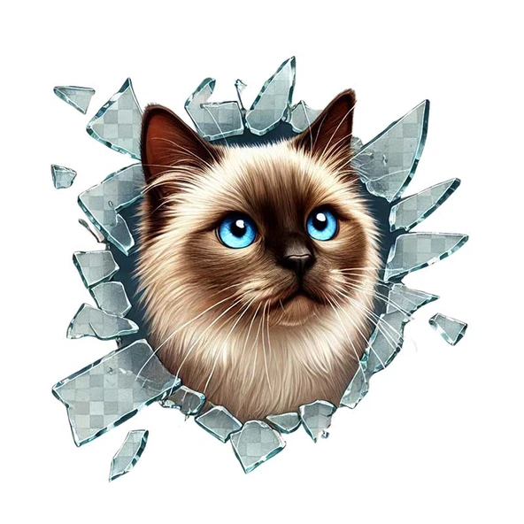 Fulcar Siamesse Araç Stickerı ürün görseli 1