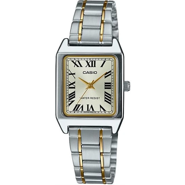 Casio LTP-V007SG-9BUDF Quartz Çelik Gri Altın Rengi 22 mm Kadın Kol Saati ürün görseli 1