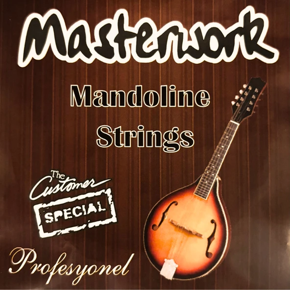 MASTERWORK MANDOLİN TELİ SETİ ürün görseli 1